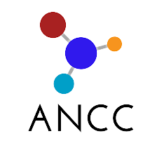 logo-asociacion-nacional-del-calzado